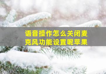 语音操作怎么关闭麦克风功能设置呢苹果