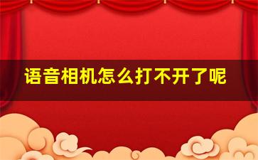 语音相机怎么打不开了呢