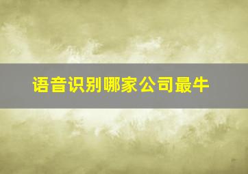 语音识别哪家公司最牛