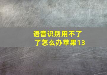 语音识别用不了了怎么办苹果13