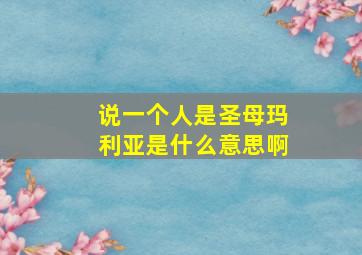 说一个人是圣母玛利亚是什么意思啊