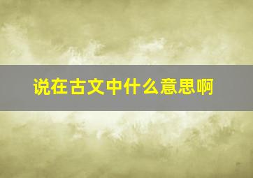 说在古文中什么意思啊