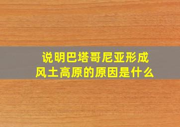 说明巴塔哥尼亚形成风土高原的原因是什么