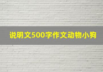 说明文500字作文动物小狗