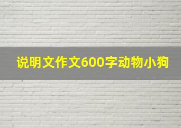 说明文作文600字动物小狗