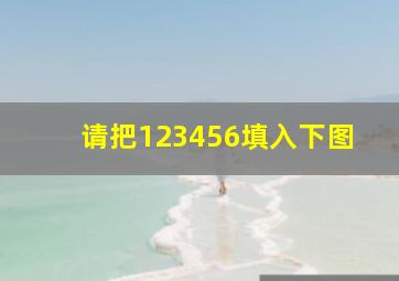 请把123456填入下图