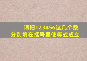 请把123456这几个数分别填在括号里使等式成立