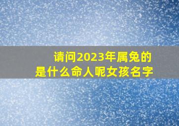 请问2023年属兔的是什么命人呢女孩名字