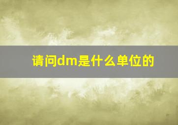 请问dm是什么单位的