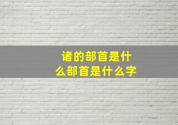 诸的部首是什么部首是什么字