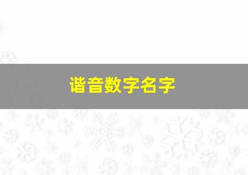 谐音数字名字