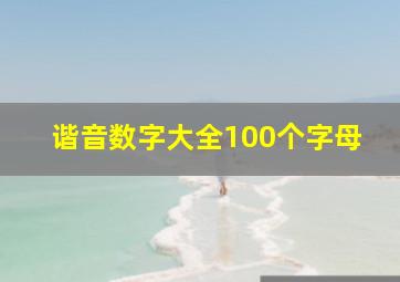 谐音数字大全100个字母