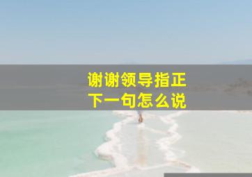 谢谢领导指正下一句怎么说