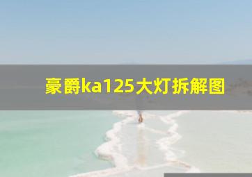 豪爵ka125大灯拆解图