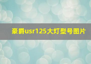 豪爵usr125大灯型号图片