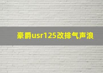 豪爵usr125改排气声浪