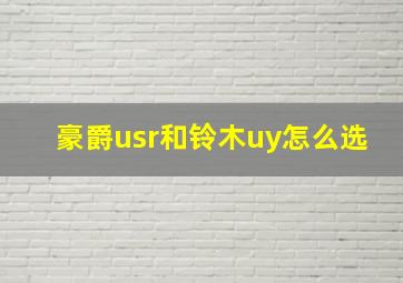 豪爵usr和铃木uy怎么选