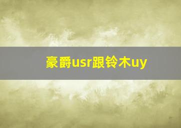 豪爵usr跟铃木uy