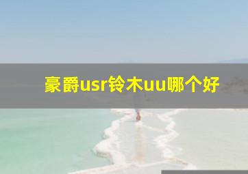 豪爵usr铃木uu哪个好