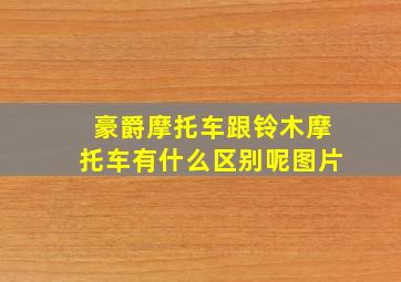 豪爵摩托车跟铃木摩托车有什么区别呢图片