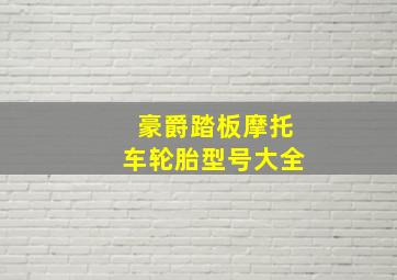 豪爵踏板摩托车轮胎型号大全