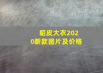 貂皮大衣2020新款图片及价格