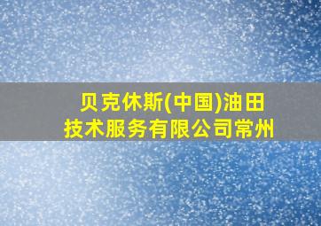 贝克休斯(中国)油田技术服务有限公司常州