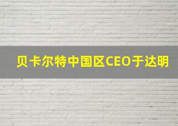 贝卡尔特中国区CEO于达明