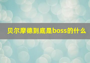 贝尔摩德到底是boss的什么