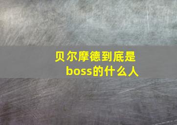 贝尔摩德到底是boss的什么人