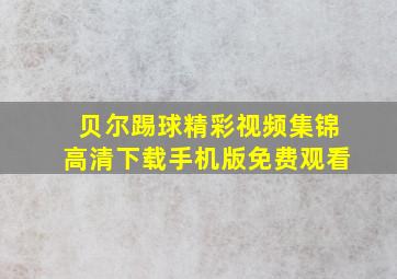 贝尔踢球精彩视频集锦高清下载手机版免费观看