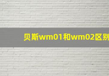 贝斯wm01和wm02区别