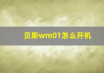 贝斯wm01怎么开机