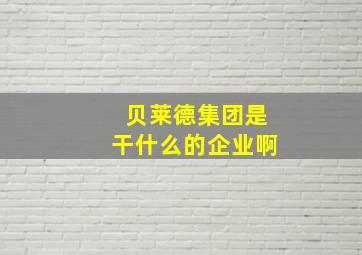 贝莱德集团是干什么的企业啊