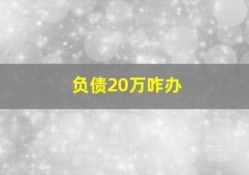 负债20万咋办