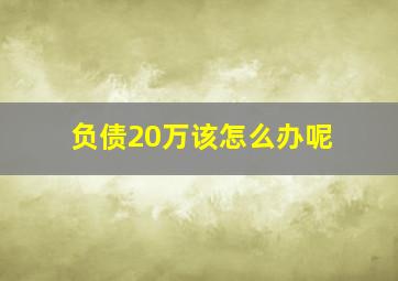 负债20万该怎么办呢