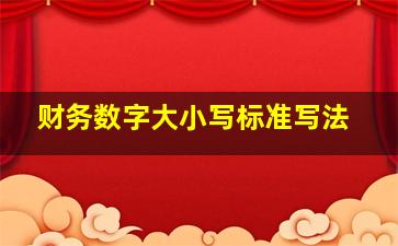 财务数字大小写标准写法