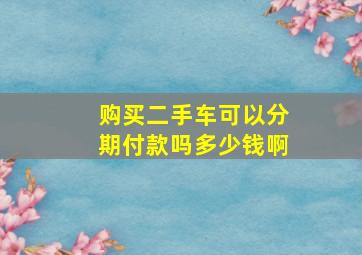 购买二手车可以分期付款吗多少钱啊