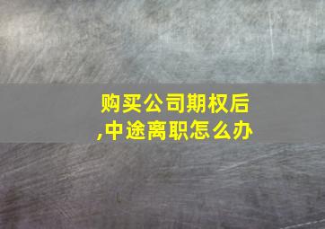 购买公司期权后,中途离职怎么办