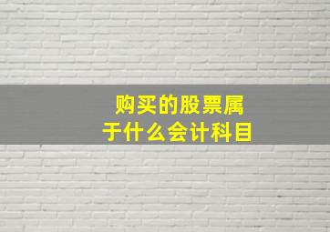 购买的股票属于什么会计科目