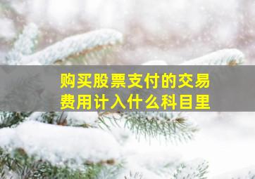 购买股票支付的交易费用计入什么科目里