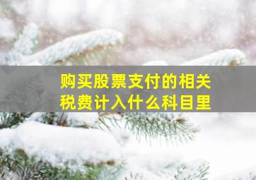 购买股票支付的相关税费计入什么科目里