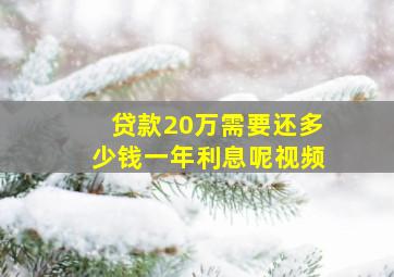 贷款20万需要还多少钱一年利息呢视频