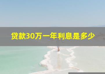 贷款30万一年利息是多少