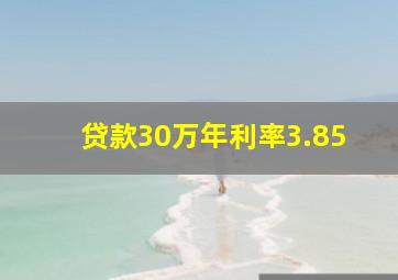 贷款30万年利率3.85