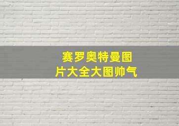 赛罗奥特曼图片大全大图帅气