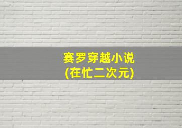 赛罗穿越小说(在忙二次元)