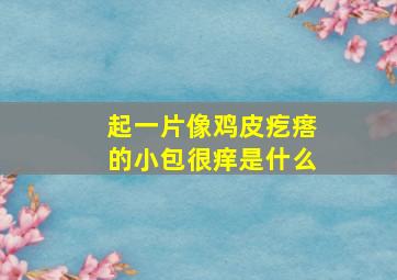 起一片像鸡皮疙瘩的小包很痒是什么