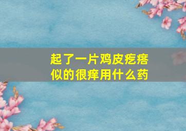 起了一片鸡皮疙瘩似的很痒用什么药