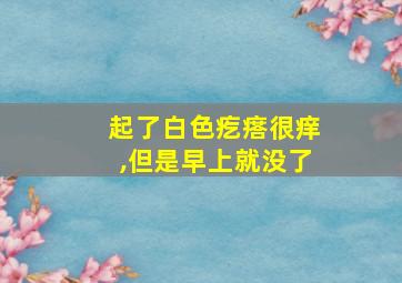 起了白色疙瘩很痒,但是早上就没了